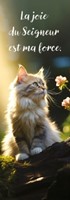 Marque-pages chaton sur une souche dans la forêt