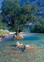 Mini carte arbre dans rivière