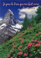 Mini carte paysage de montagne