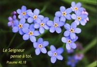 Mini carte myosotis