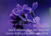 Mini carte fleur violette