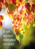 Mini carte Pâques feuilles d'arbre en automne