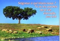 Mini carte moutons ds prairie