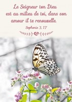 Mini carte papillon sur une branche en fleurs