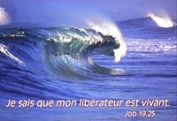 Mini carte vagues