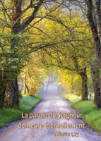 Mini carte chemin arboré