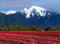 Mini carte champ fleurie et montagnes
