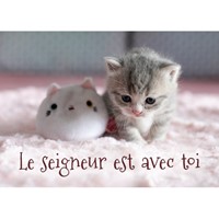 Mini carte chaton et peluche