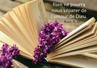 Mini carte livre ouvert avec des branches en fleur
