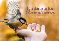 Mini carte oiseau mangeant des graines sur main