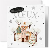 Carte double fin année village sous la neige