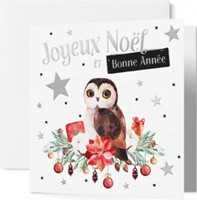 Carte double fin année chouette et décorations de Noël