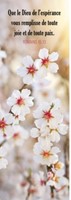 Marque-pages branches de fleurs blanches et roses