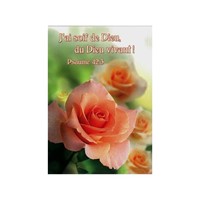 Mini carte roses