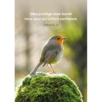 Carte postale avec verset rouge gorge posé sur un rocher