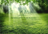 Carte postale avec citation