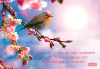 Carte postale avec verset