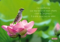 Carte postale avec verset