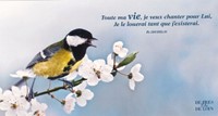 Carte double longue