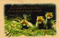 Carte postale en bois massif (érable)
