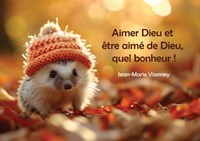 Carte postale citation petit hérisson avec un bonnet