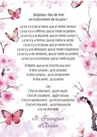 Carte postale citation fleurs roses et papillons