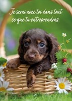 Mini carte Chiot dans un panier avec des fleurs