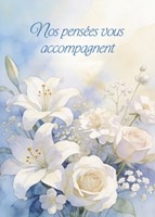 Carte postale condoléances fleurs blanches sur fond bleu