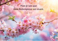Carte postale avec verset branche d'arbre en fleurs