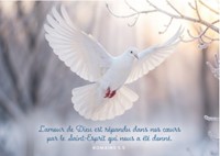 Carte postale avec verset colombe et branches givrées