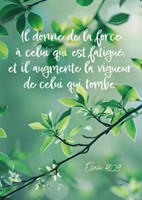 Carte postale avec verset branche d'arbre sur fond vert
