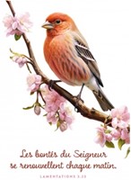 Carte postale avec verset oiseau posé sur une branche en fleur