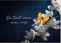 Carte postale condoléances papillon sur une branche de fleurs blanches