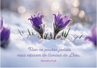 Carte postale avec verset petites fleurs de printemps dans la neige