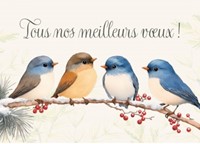 Carte postale bonne année des petits oiseaux sur une branche