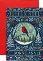 Carte double Noël et fin d'année oiseau rouge et motifs de Noël sur fond bleu