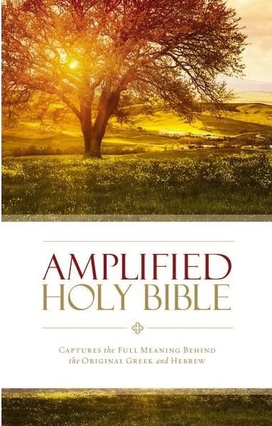 Amplified Thinline Holy Bible Version 2015