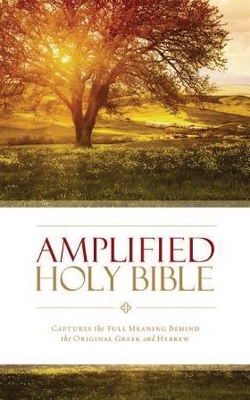 Amplified Holy Bible Thinline