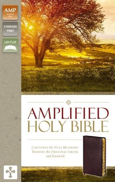 Amplified Holy Bible Version 2015