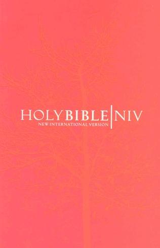 NIV Bible Popular Paperback Orange