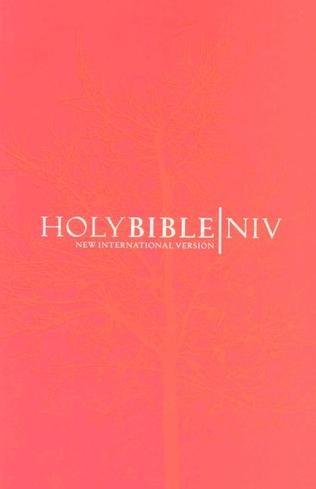 NIV Bible Popular Paperback Orange