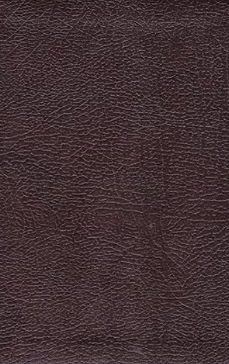 NLT Compact Bible