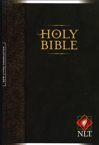 NLT2 Bible Relié Rigide Marron