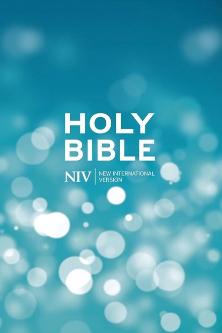 Niv Bible Popular Hardback