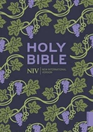 New International Version Bible