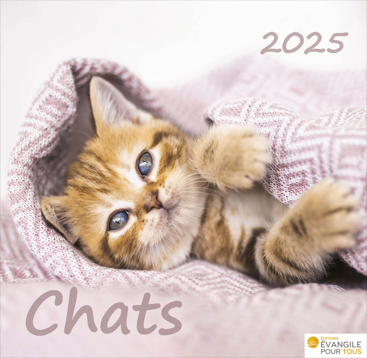 Calendrier Chats