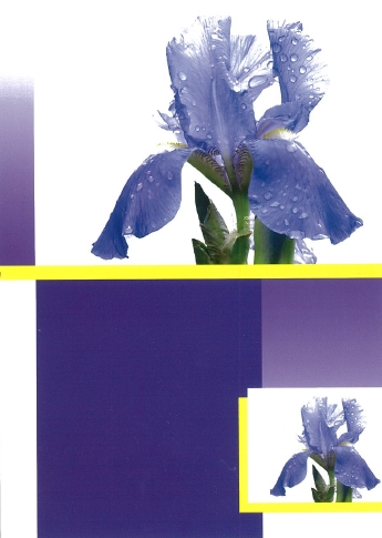 Carte double iris