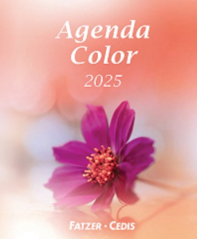 Agenda color 2025