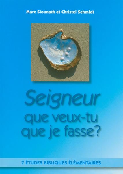 Seigneur que veux-tu que je fasse ?