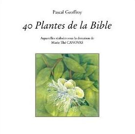 40 plantes de la Bible